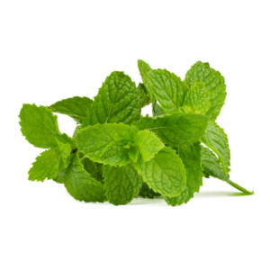 mint, mint leaf, green, peppermint, healthy, drink, health, healing, leaves, soda, herbs, aroma, taste, tea, refreshment, fresh, leaf, nature, mint, mint, mint, mint, mint, peppermint