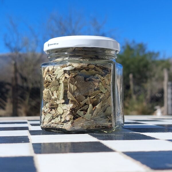 Boldo en Hojas en frasco