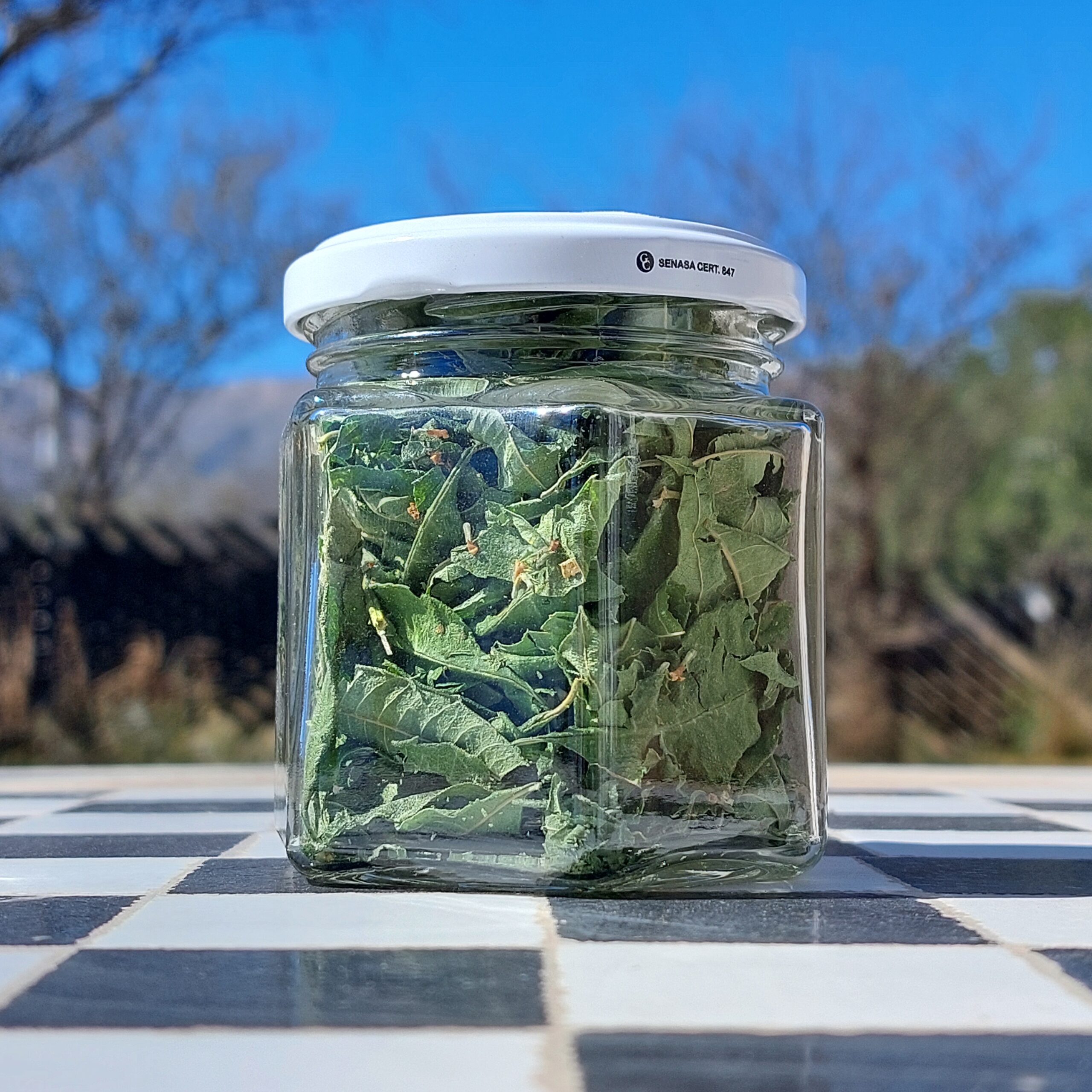 Cedrón en Hojas en frasco - Imagen 3